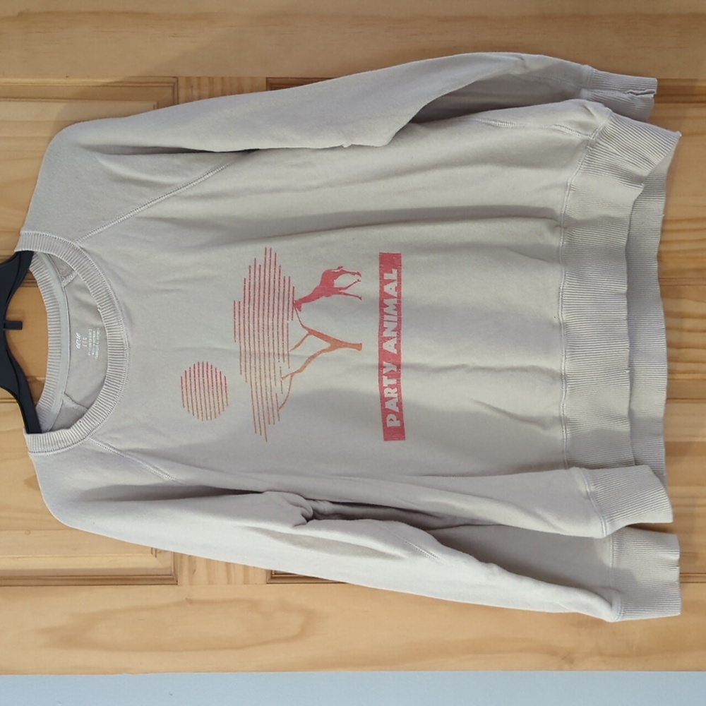 Aerie sweatshirt